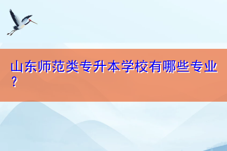 山東師范類專升本學(xué)校有哪些專業(yè)？