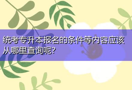 統(tǒng)考專升本報名的條件等內容應該從哪里查詢呢？