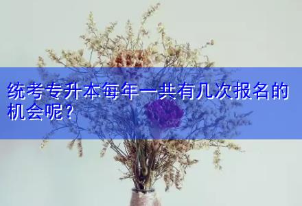 統(tǒng)考專升本每年一共有幾次報名的機(jī)會呢？