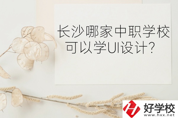 長沙哪家中職學?？梢詫WUI設計？