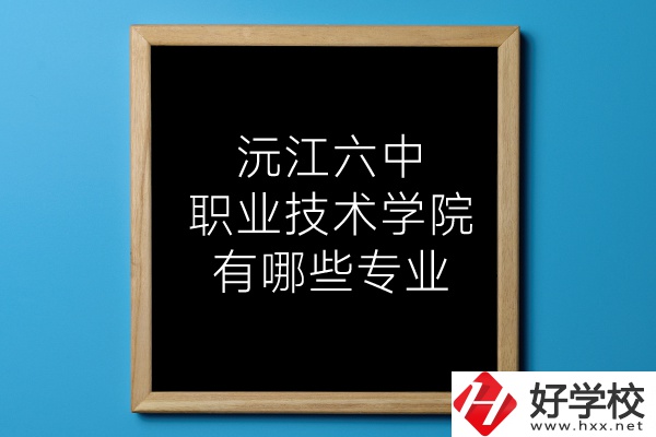 湖南沅江六中職業(yè)技術學院有哪些專業(yè)？