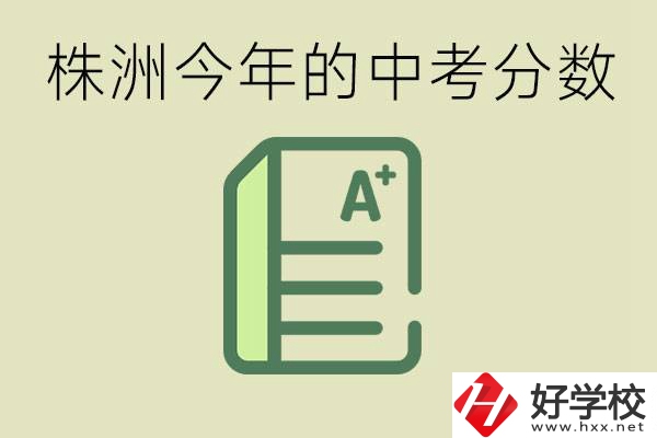 株洲今年中考多少分能上高中？沒(méi)考上有什么選擇？