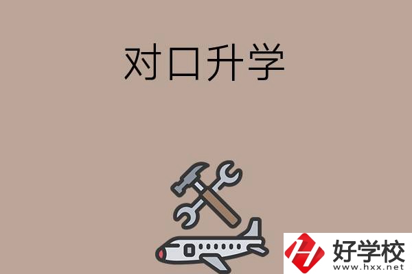 職高學(xué)生參加湖南省對口升學(xué)，有什么本科可以報(bào)考？