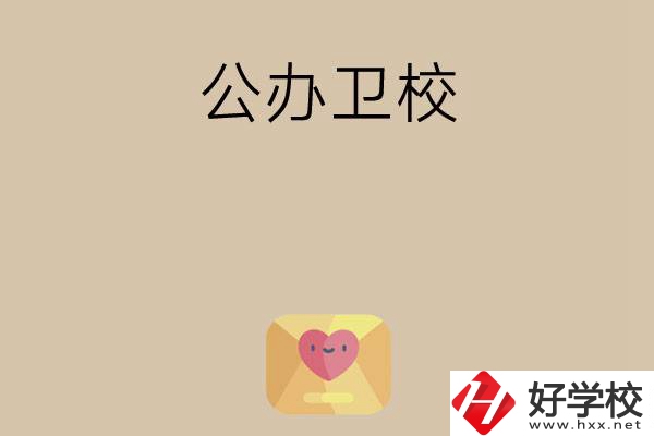 想在湖南上公辦衛(wèi)校？這所學(xué)校值得一看