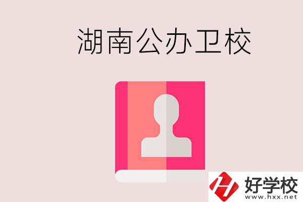 想在湖南上公辦衛(wèi)校可以選擇哪些學(xué)校？