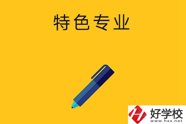 湖南的中職學(xué)校有哪些比較有特色的專業(yè)？