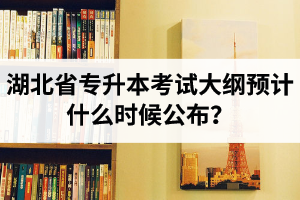 湖北省專升本考試大綱預(yù)計(jì)什么時(shí)候公布？現(xiàn)階段怎么備考比較好？