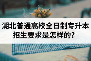 湖北普通高校全日制專升本招生要求是怎樣的？