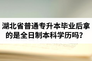 湖北省普通專升本畢業(yè)后拿的是全日制本科學(xué)歷嗎？