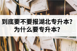 到底要不要報湖北專升本？為什么要專升本？