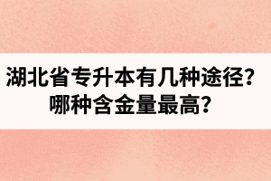 湖北省專升本有幾種途徑？哪種含金量最高？