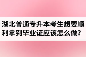 湖北普通專升本考生想要順利拿到畢業(yè)證應(yīng)該怎么做？