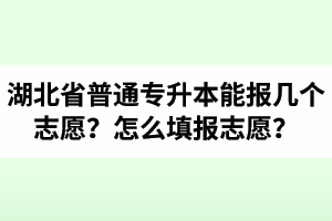 湖北省普通專升本能報(bào)幾個(gè)志愿？怎么填報(bào)志愿？