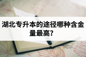 湖北普通專升本英譯漢段落翻譯分析應(yīng)該怎么做？