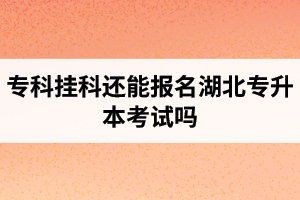 ?？茠炜七€能報名湖北專升本考試嗎？在哪里能獲取最新的專升本資訊？