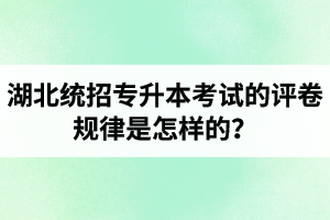 湖北統(tǒng)招專升本考試的評(píng)卷規(guī)律是怎樣的？怎么避免丟失細(xì)節(jié)分？