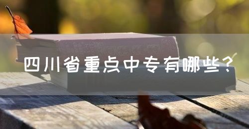 四川省重點(diǎn)中專有哪些？(圖1)