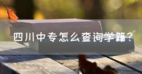 四川中專怎么查詢學籍？(圖1)