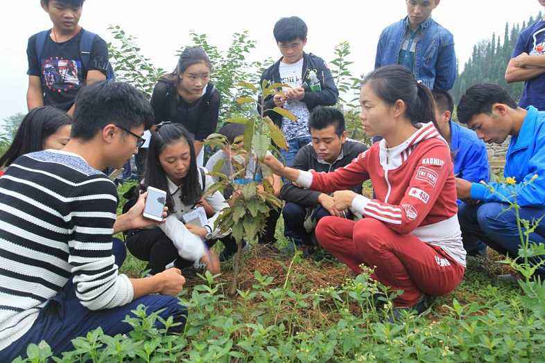 西秀區(qū)高級職業(yè)技術中學