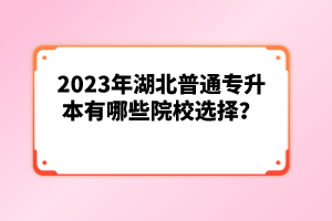 2023年湖北普通專升本有哪些院校選擇？