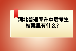 湖北普通專升本后考生檔案里有什么？