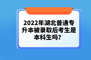 2022年湖北普通專升本被錄取后考生是本科生嗎？