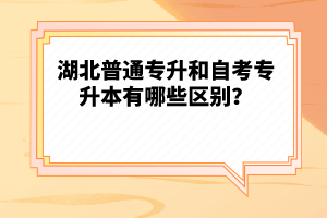 湖北普通專升和自考專升本有哪些區(qū)別？