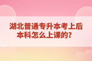 湖北普通專升本考上后本科怎么上課的？