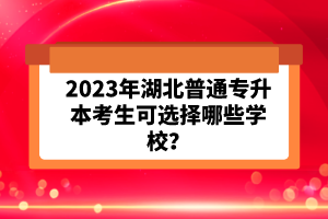 2023年湖北普通專升本考生可選擇哪些學校？