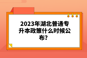 2023年湖北普通專升本政策什么時(shí)候公布？