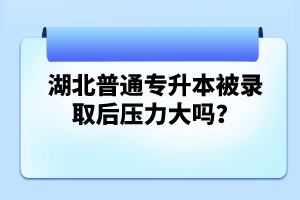 湖北普通專升本被錄取后壓力大嗎？