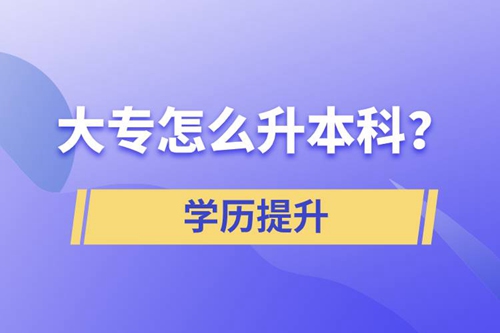 大專怎么升本科？