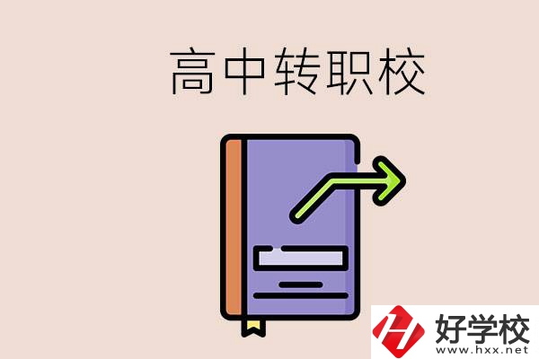 有在讀高中不想讀轉(zhuǎn)職校的例子嗎？能轉(zhuǎn)到湖南職校嗎？