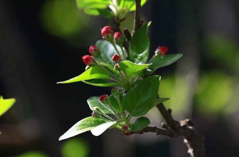 金沙縣第二職業(yè)技術(shù)高級中學(xué)