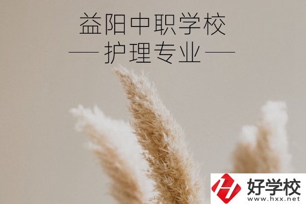 益陽護(hù)理專業(yè)的中職學(xué)校有哪些？需要哪些要求？