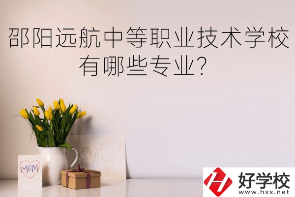 邵陽遠(yuǎn)航中等職業(yè)技術(shù)學(xué)校有哪些專業(yè)？