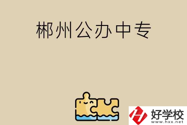 郴州公辦中專有哪些開設(shè)了電子商務(wù)專業(yè)？