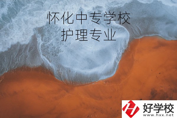 懷化有學護理專業(yè)的中專學校嗎？