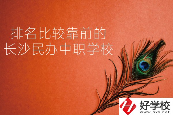 長沙哪些民辦中職學(xué)校排名比較靠前？