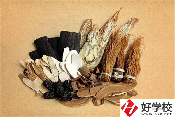 在湘西學(xué)中草藥栽培怎么樣？開設(shè)此專業(yè)的學(xué)校有哪些？