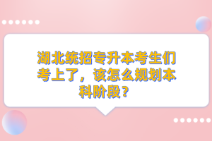 湖北統(tǒng)招專升本考生們考上了，該怎么規(guī)劃本科階段？