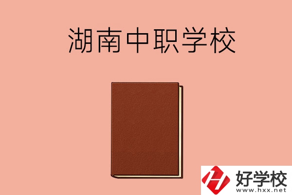 湖南有哪些就業(yè)率比較高的中職學(xué)校？