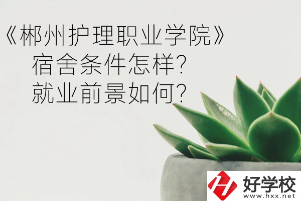 郴州護(hù)理職業(yè)學(xué)院宿舍條件怎樣？就業(yè)前景如何？