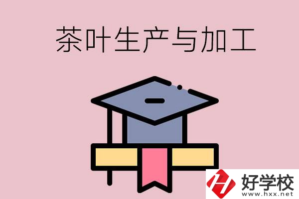 湖南哪些技校開設(shè)了茶葉生產(chǎn)與加工專業(yè)？