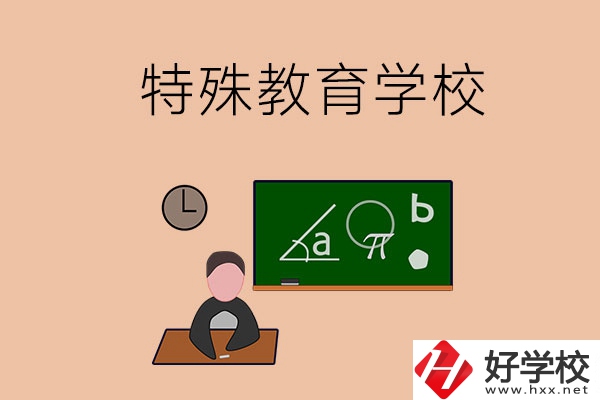 湖南省有哪些特殊教育學(xué)校？