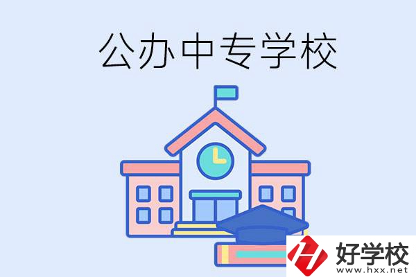 湘西一共有多少所公辦的中專學(xué)校？