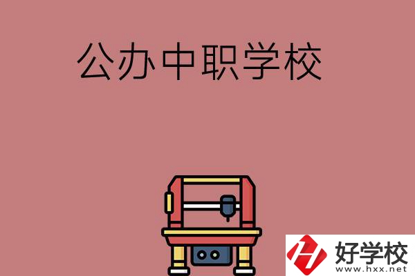 長沙可以學計算機應用專業(yè)的公辦中職學校有哪些？