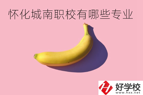 懷化城南職業(yè)學校有哪些專業(yè)？學校好不好？