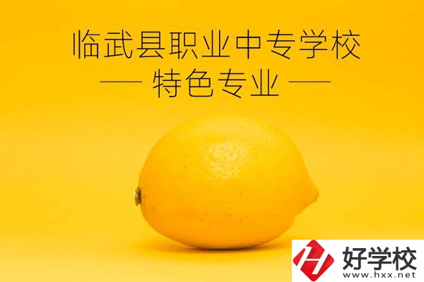 臨武縣職業(yè)中專學(xué)校好嗎？有哪些特色專業(yè)？