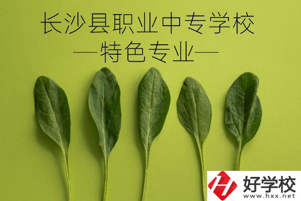 長沙縣職業(yè)中專學(xué)校怎么樣？有什么特色專業(yè)？